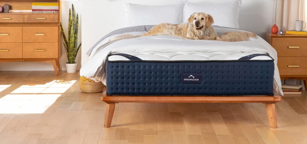 A golden retriever dog is resting on the DreamCloud mattress in a sun-lit bedroom.